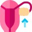 Ovary